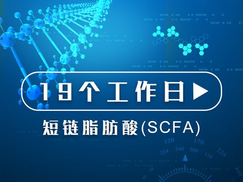 質譜服務的價格、采購與供應商信息詳解