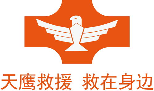 廣東天鷹救援技術服務 專業守護，安全護航