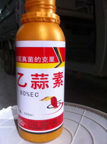 功能性茶飲料的研制與市場(chǎng)前景分析